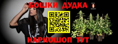 крисы Татарск